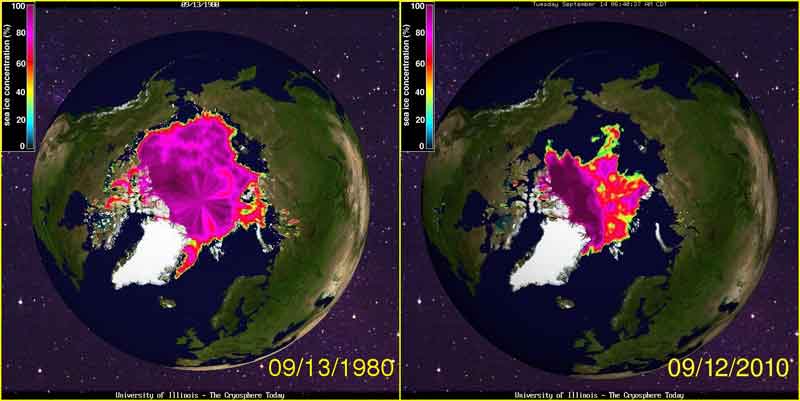 Banquise Arctique 1980-2010