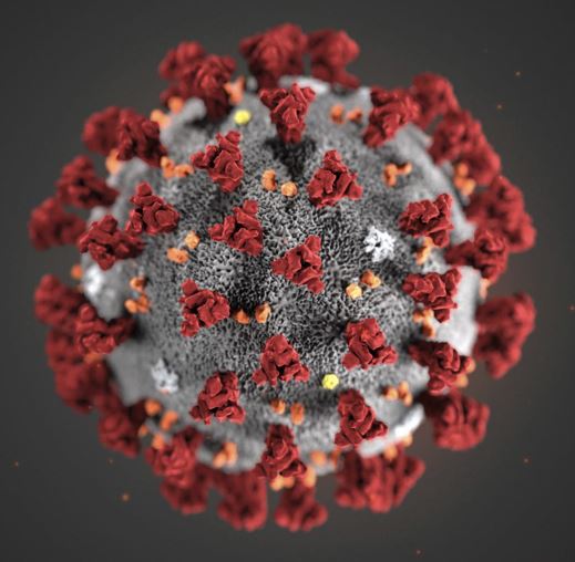 représentation 3D du coronavirus