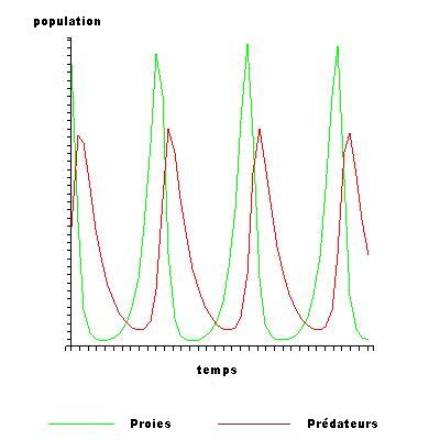 Evolution des 2 populations en fonction du temps